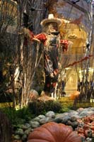 IMG_1620