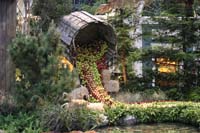 IMG_1622