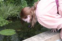 IMG_1806