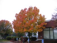 IMG_1927