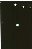 Untitled-119