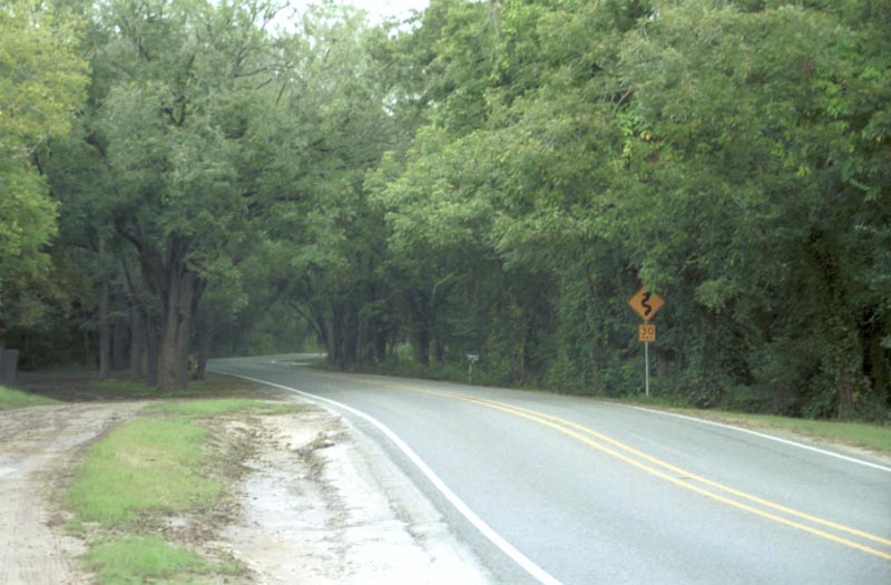 scenery_11