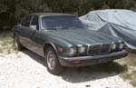 jaguar_01