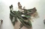 shop_0810200212