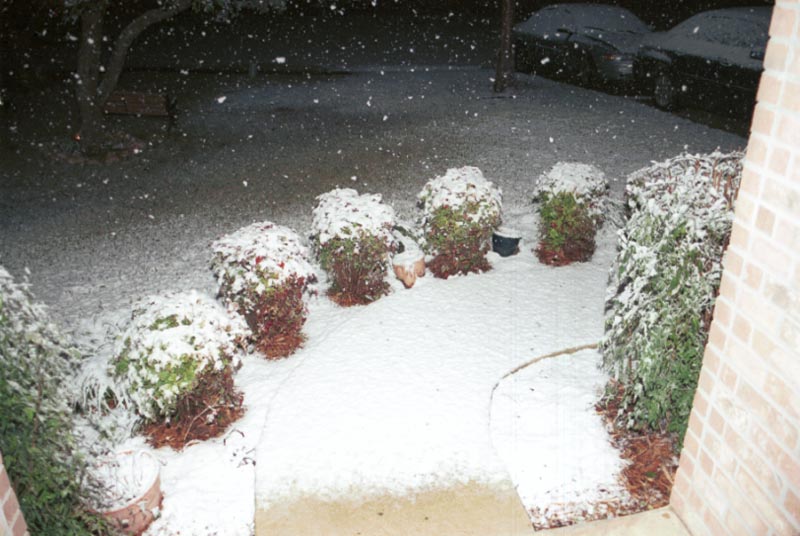 snow_20040214_03