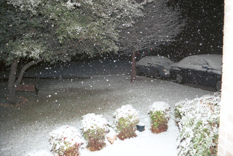 snow_20040214_05