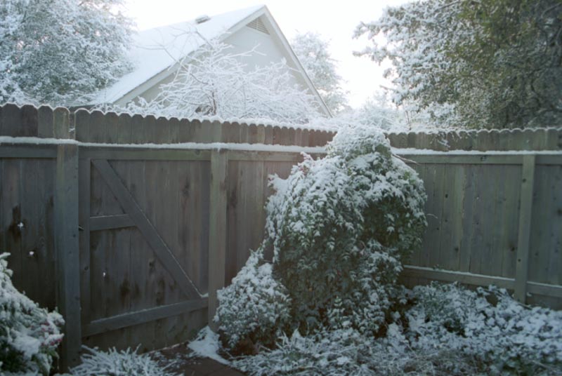 snow_20040214_06