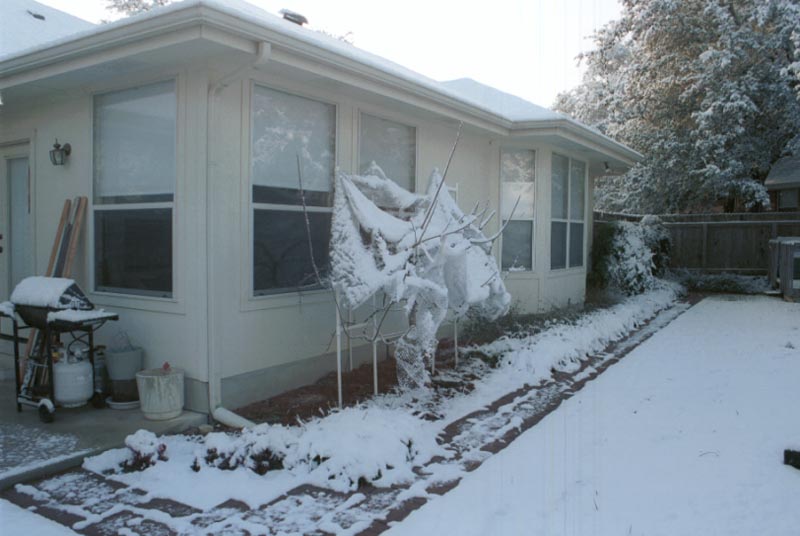 snow_20040214_08