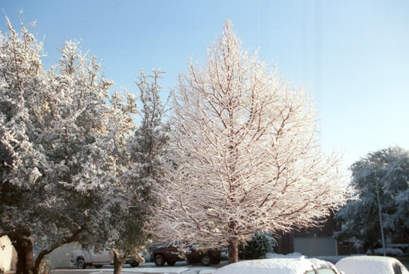 snow_20040214_12