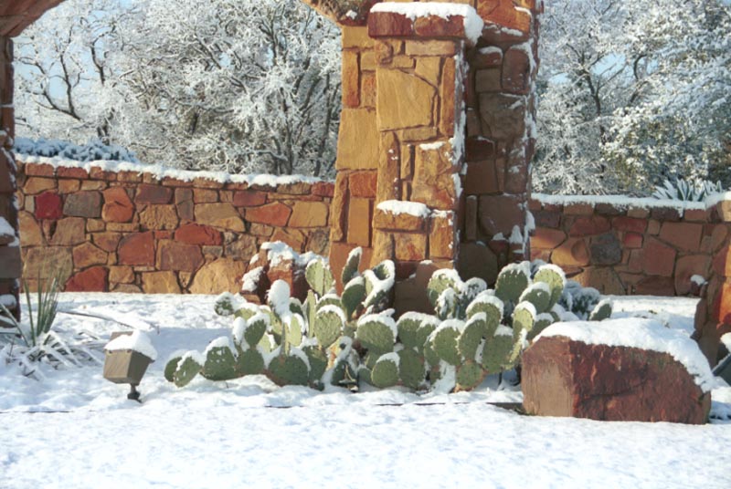 snow_20040214_13