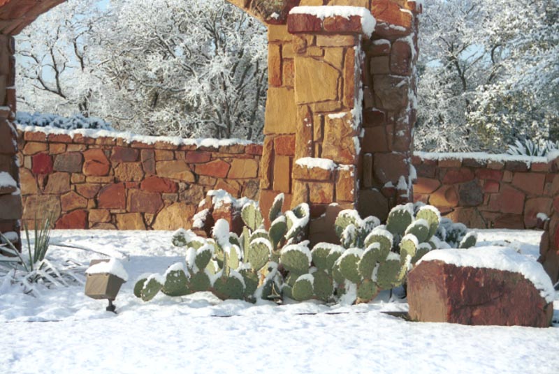 snow_20040214_14