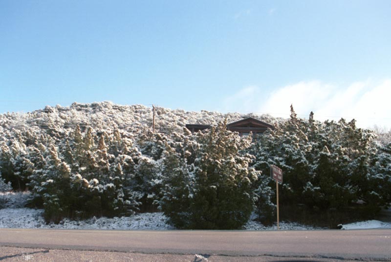 snow_20040214_22