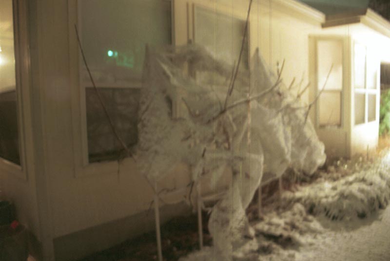 snow_20040214_33