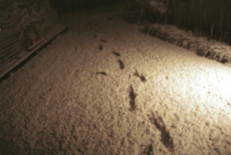 snow_20040214_35