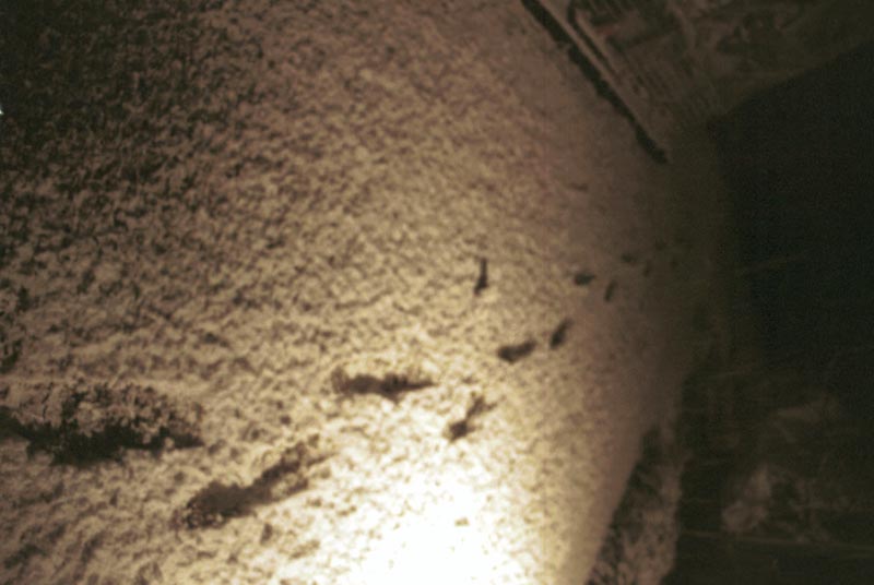 snow_20040214_36