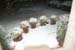 snow_20040214_03