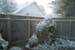 snow_20040214_06