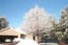 snow_20040214_10