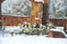 snow_20040214_13