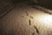 snow_20040214_35