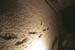 snow_20040214_36