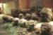 snow_20040214_47